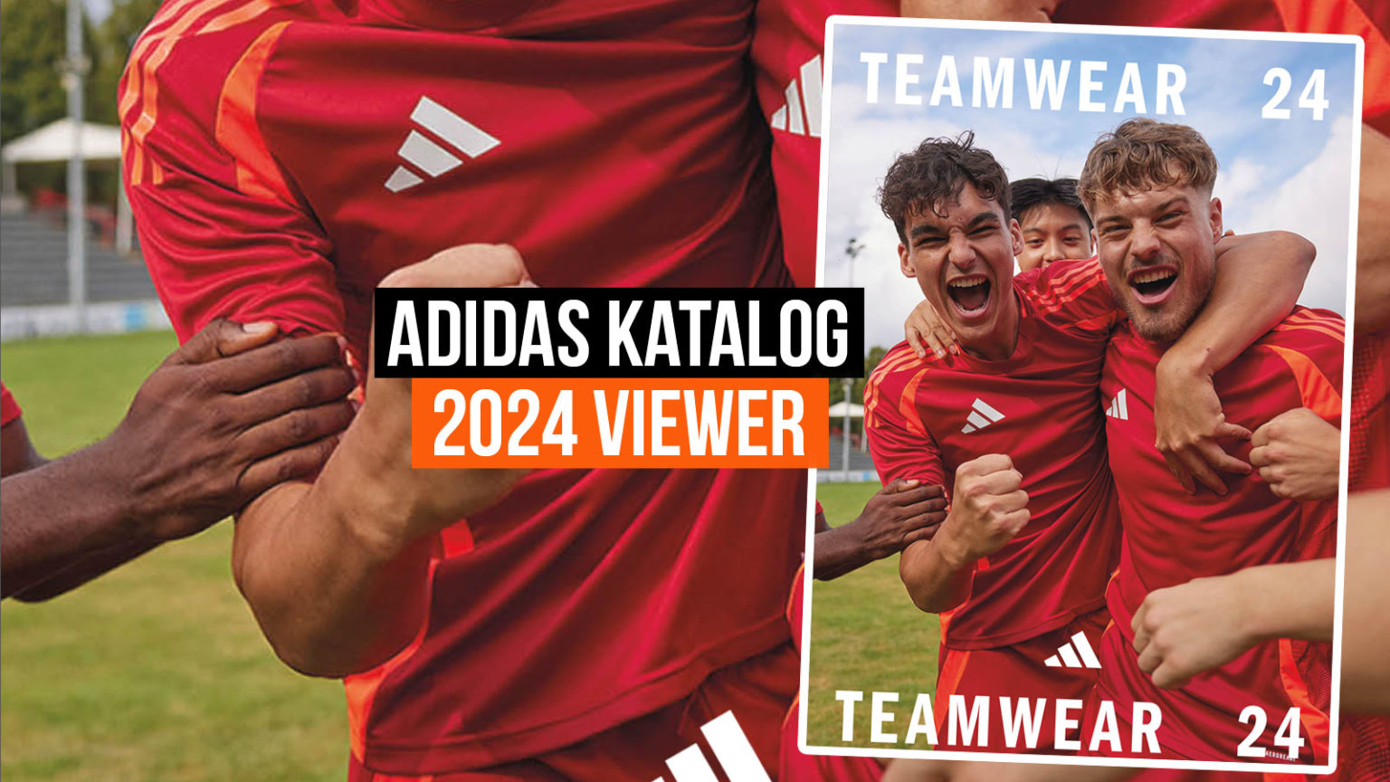 adidas Katalog 2024 online anschauen Teamwear 24