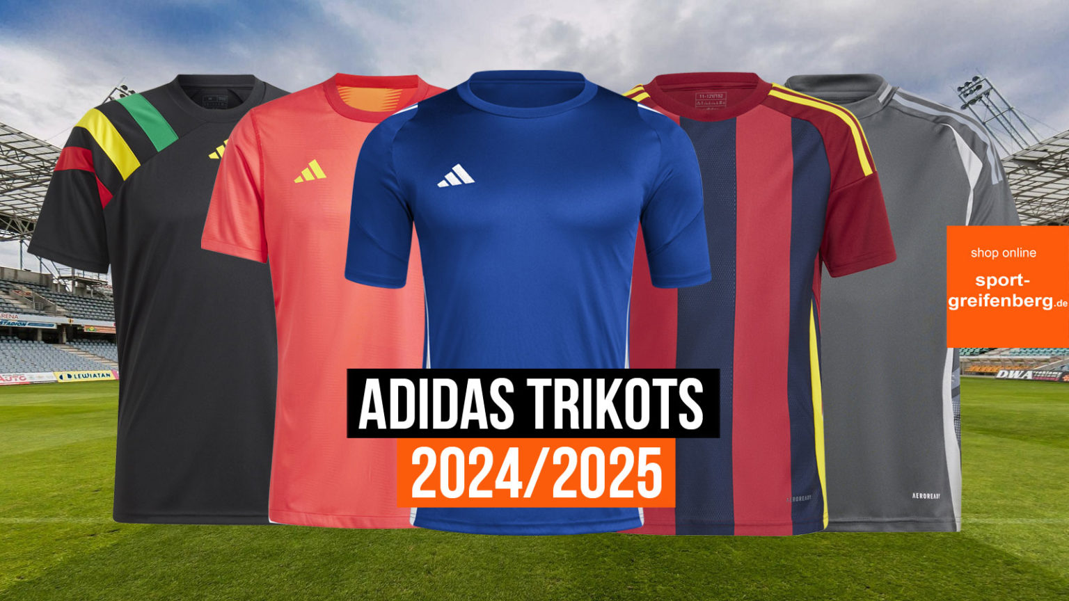 neue adidas Trikots 2024/2025 Teamsport Katalog