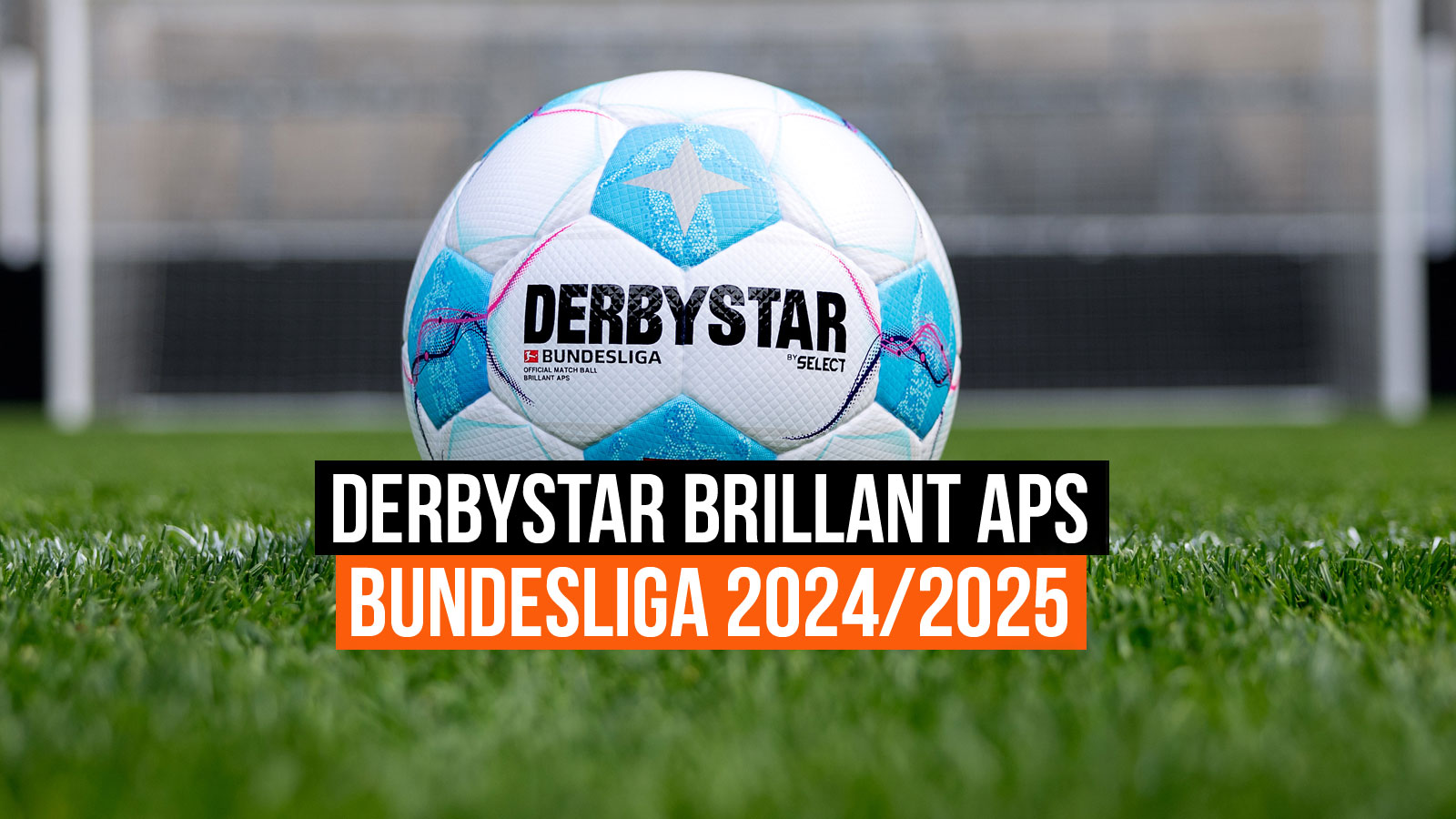 Derbystar Bundesliga Brillant APS 2024/25 Spielball