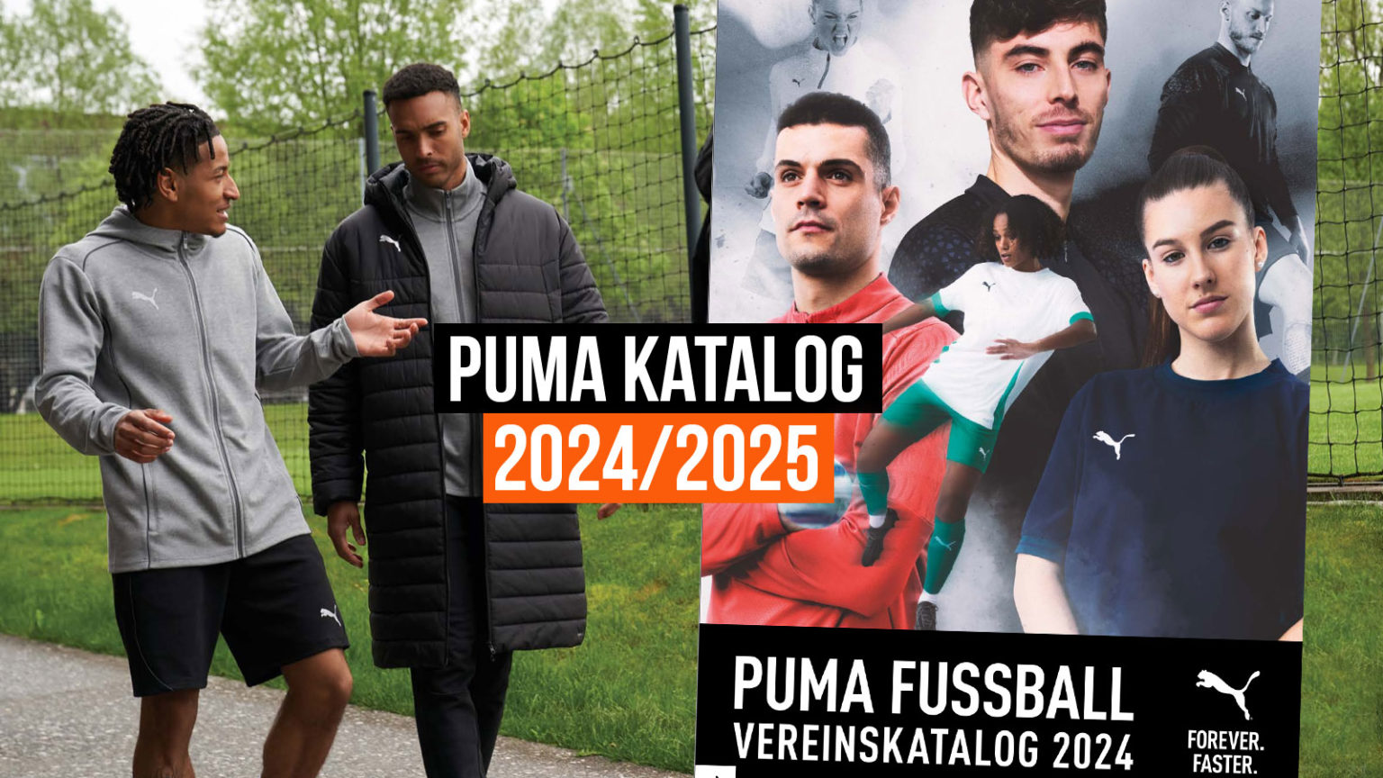 Puma Teamsport Katalog download pdf incl. Shop Link