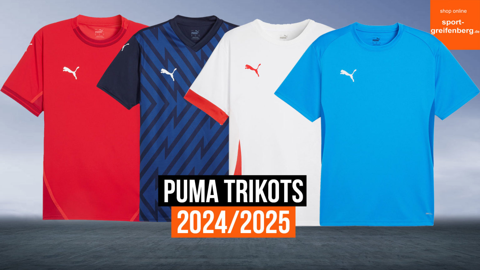 Puma Teamsport Katalog 2024/2025 PDF Katalog Shop Link