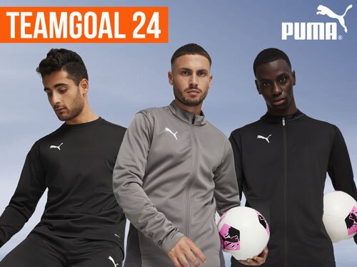 Puma teamGoal 24 Teamline bestellen