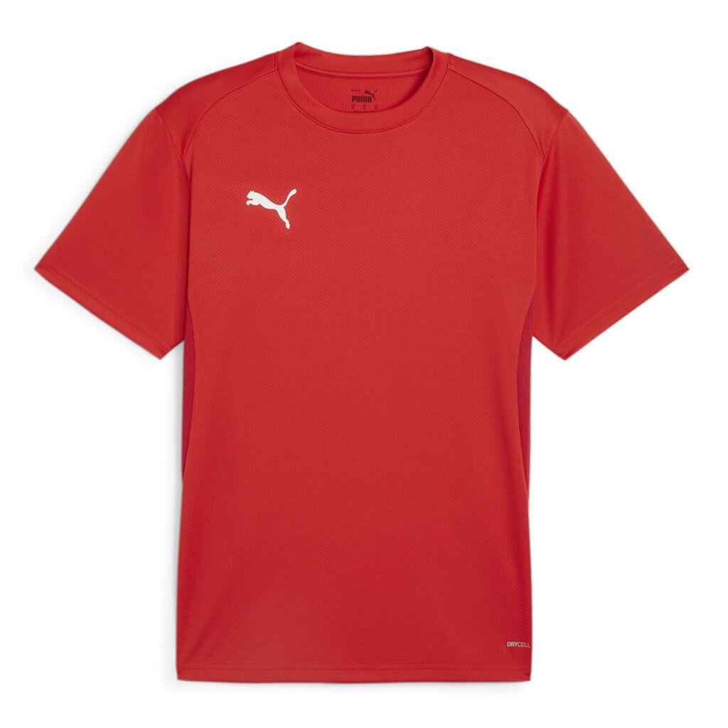 Puma teamGoal 24 Training Jersey und Trainingsshirt