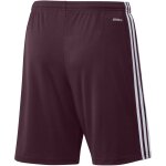 adidas Squadra 21 Short - team maroon/white - Gr. m