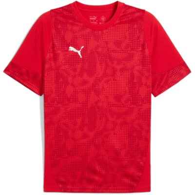 Puma teamCup 25 Training Jersey