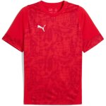 Puma teamCup 25 Training Jersey