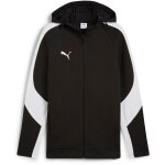 Puma teamEvostripe Hooded Jacket