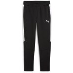 Puma teamEvostripe Jogginghose