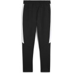 Puma teamEvostripe Jogginghose