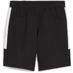 Puma teamEvostripe Jogging Short