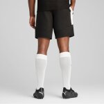 Puma teamEvostripe Jogging Short