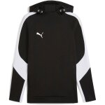 Puma teamEvostripe Hoody