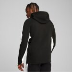 Puma teamEvostripe Hoody