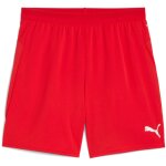 Puma teamCup 25 Short