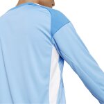 adidas Tiro 25 C Goalkeeper Jersey