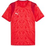 Puma teamCup 25 Trikotsatz