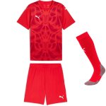 Puma teamUltimate 25 Trikotsatz