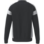 Erima Cmpt 3 Wings Sweatshirt Gk