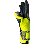 Reusch Attrakt Fusion Guardian