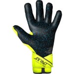 Reusch Attrakt Fusion Guardian