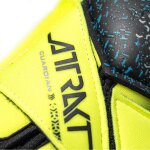 Reusch Attrakt Fusion Guardian