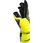 Reusch Attrakt Duo Evolution