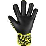 Reusch Attrakt Duo Evolution