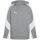 Puma teamEvostripe Hoody