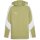 Puma teamEvostripe Hoody