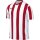 Nike Striped Division V Trikot Jersey